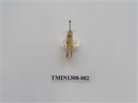 藏品(尺蠖蛾科)的圖片